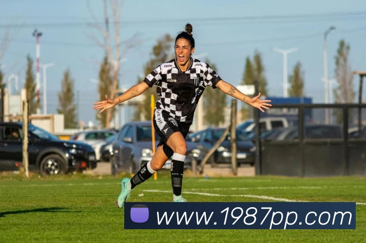 爱游戏发展历程